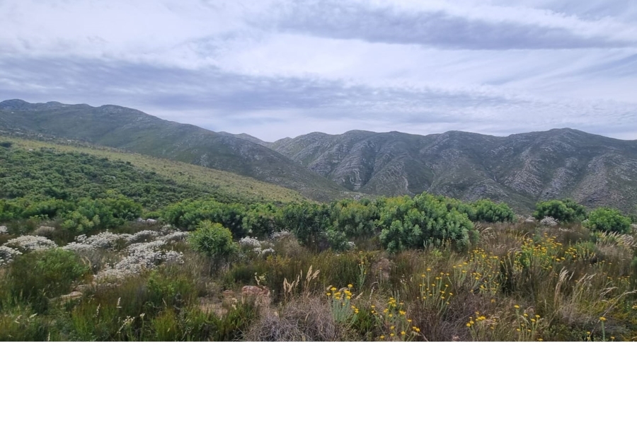 0 Bedroom Property for Sale in Uniondale Rural Western Cape